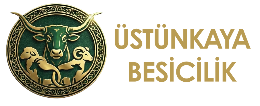 Adana Kurbanlık Satışı | Üstünkaya Besicilik – Büyükbaş Kurban, Küçükbaş Kurban, Adak ve Akika